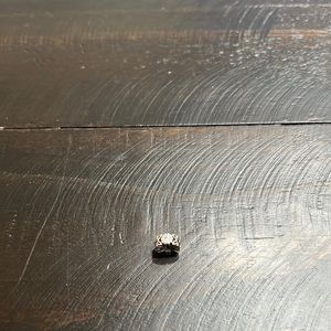 RETIRED PANDORA CHARM. 925 ALE Sterling Silver .Comes from a smoke free home.